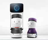 Guiding Robot Peanut